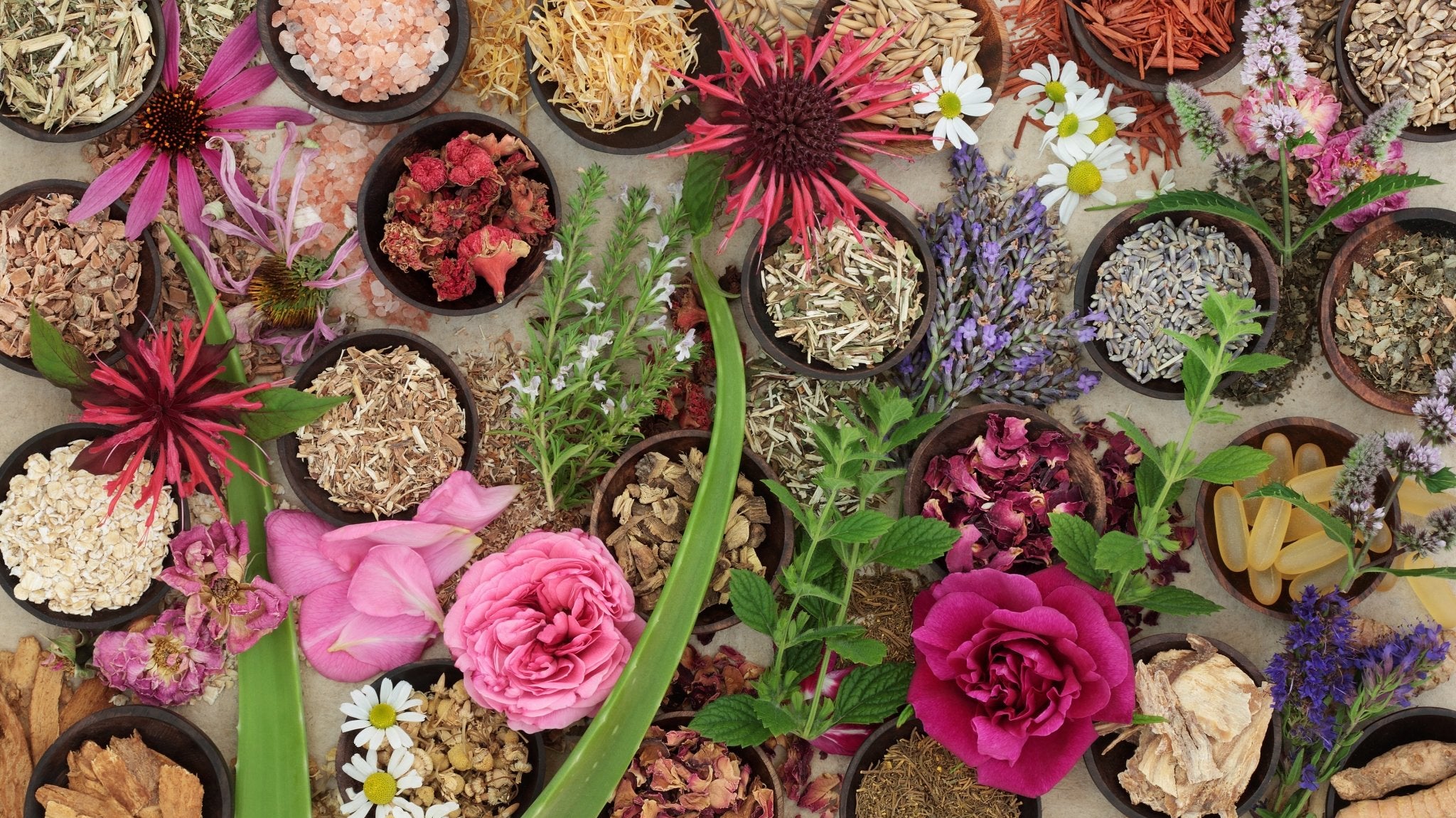 Key ingredients in good anti ageing skincare products - The Skin Boutique