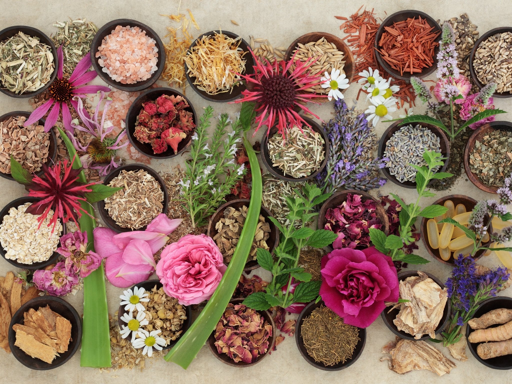 Key ingredients in good anti ageing skincare products - The Skin Boutique